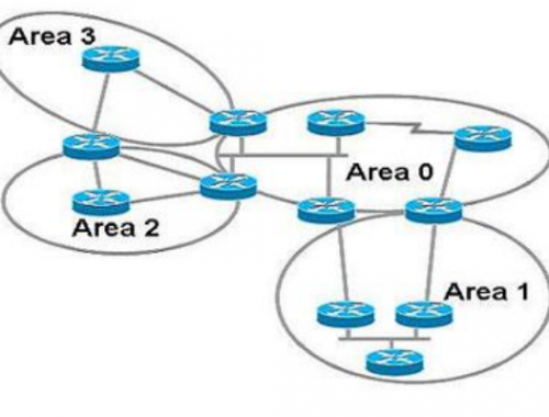 Topologia OSPF