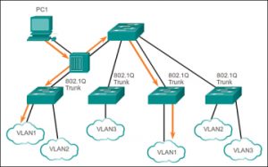 VLAN Nativa