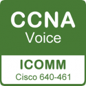 Curso Cisco CCNA Voice