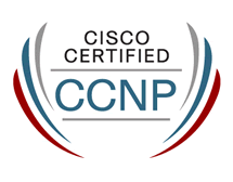 Curso Online CCNP TSHOOT (300-135)
