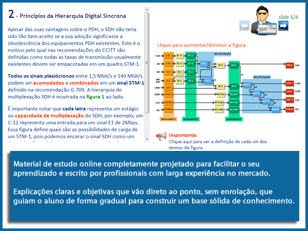 Caso a imagem não apareça no IE ative o modo de compatibilidade
